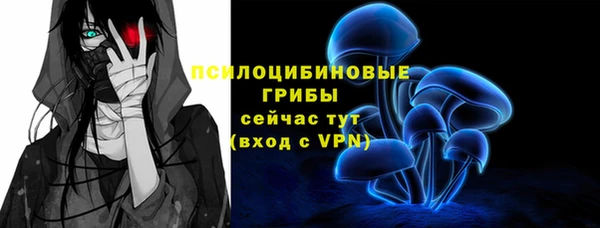 индика Алзамай
