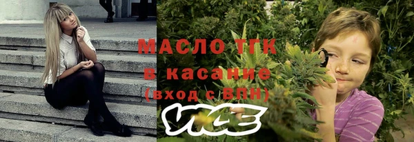 индика Алзамай